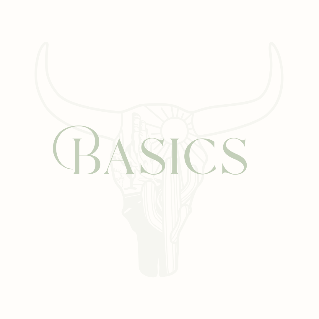 Basics